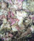 Brócoli con quinoa, bacon y soja