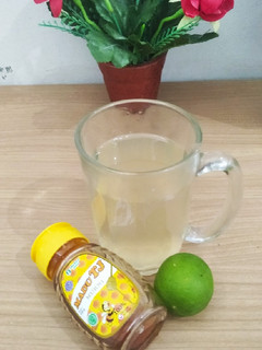 Foto resep Jeniper madu hangat