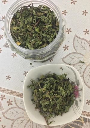 صورة لوصفة نعناع ناشف