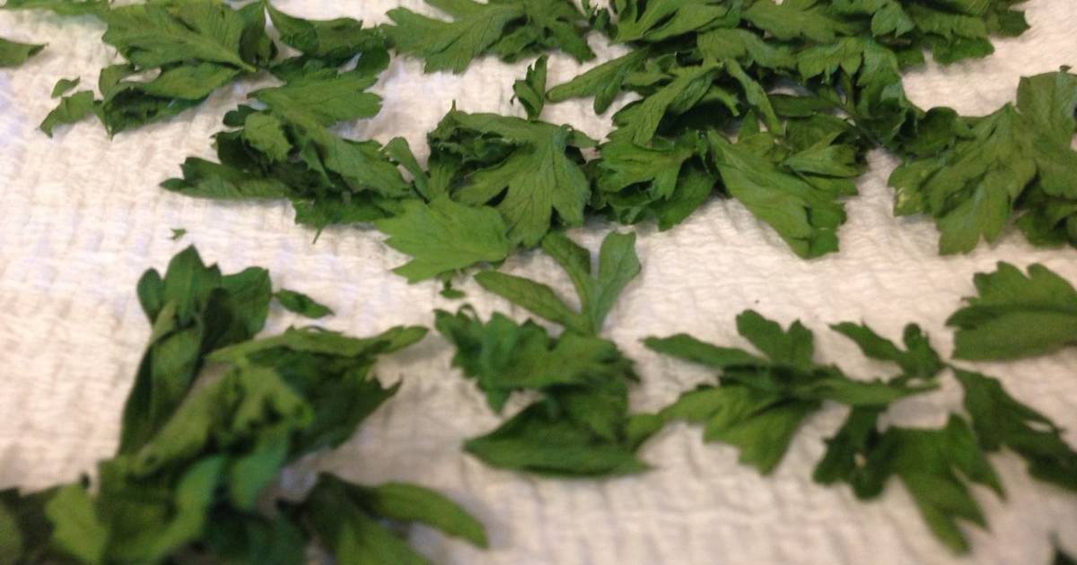 Crispy Dried Parsley Recipe by Ryan Goodwin Cookpad