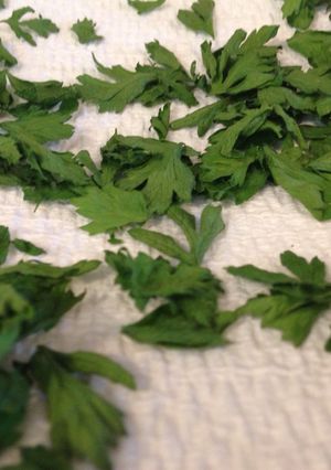 A picture of Crispy Dried Parsley.