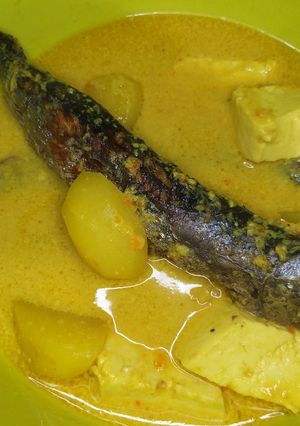 Foto resep Ikan Tongkol Kuah Santan
