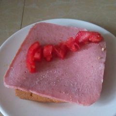 A picture of Brawn Sandwich.