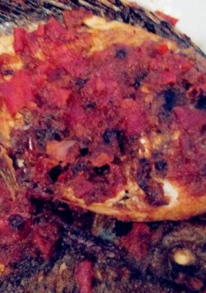 Foto resep Gurami bumbu merah