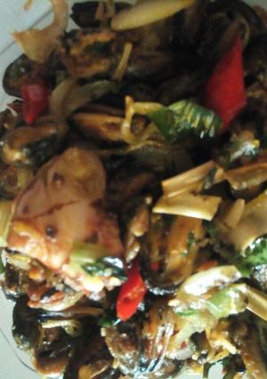 Foto resep Tumis Kerang Ijo