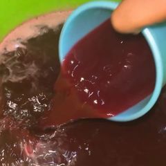 A picture of Zobo.