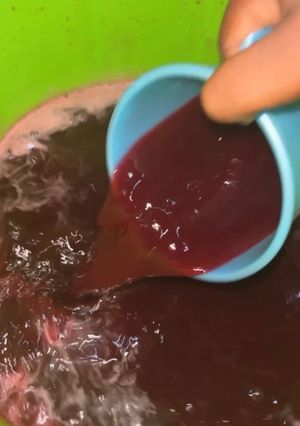 A picture of Zobo.