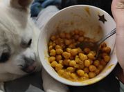 Una foto de chana masala
