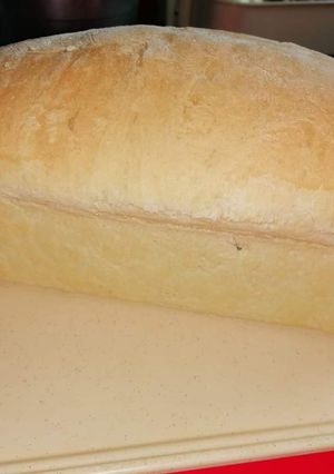 Une photo de Mon pain de mie