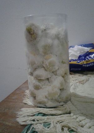 Foto resep Melon putri salju