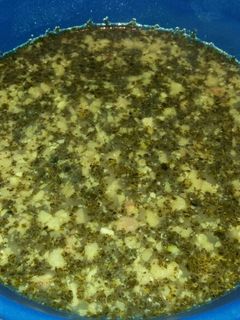 عکسی از دستور کال جوش