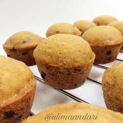 A picture of Vanilla muffin with chocochips.