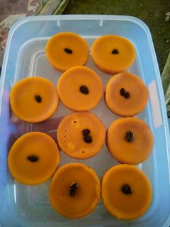 Foto resep Kue lumpur waloh(labu kuning)