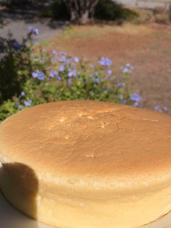 Foto resep Japanese cotton cheesecake