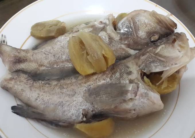 Ikan Kerapu Jahe
