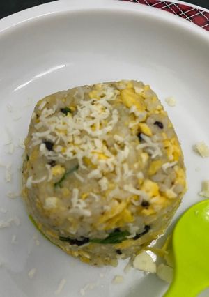 Foto resep Mpasi Nasi goreng Gercep (11m)