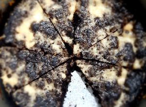 Foto resep Brownies Kukus DCC Tanpa SP