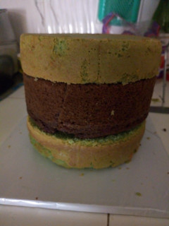 A picture of Lemon chocolate cake.