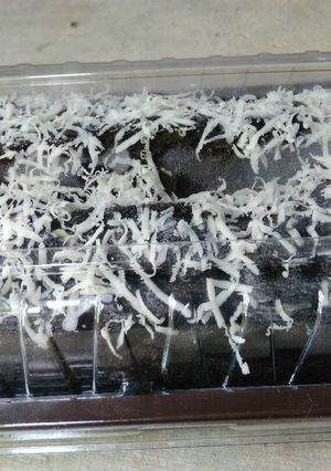 Foto resep Brownies kukus