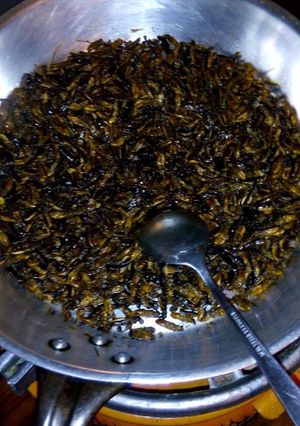 A picture of Roasted Termites/ Kumbekumbe.