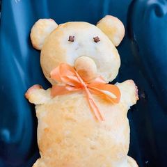 A picture of Teddy Bear Pav.