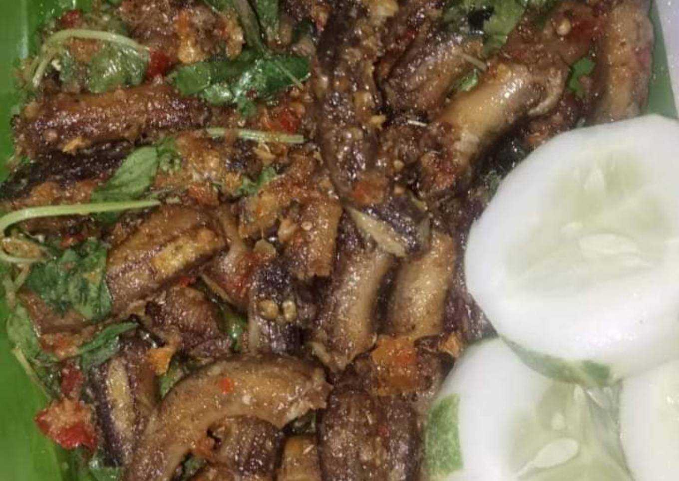 Rica rica belut