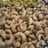 Kacang mede goreng