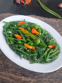 Foto resep Tumis Pucuk Labu Parang