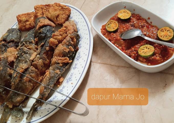 Lele Goreng Krispi vs Sambal Pecal Lele
