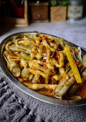 Gambar Ambal/Pepahat/Siput Buluh Masak Berlada