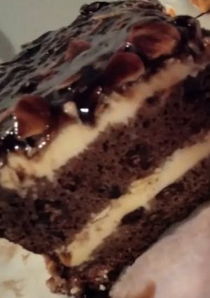 A picture of Almond Joy Ice Cream Fudge Cake.