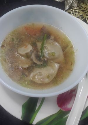 A picture of Veg Wonton soup.
