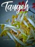Tips: menyimpan taugeh