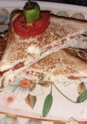 A picture of Desi Sandwich.