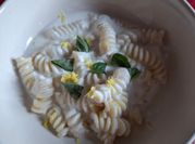 Una foto di fusilli alla ricotta