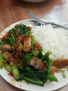 รูปของ คะน้าหมูกรอบ