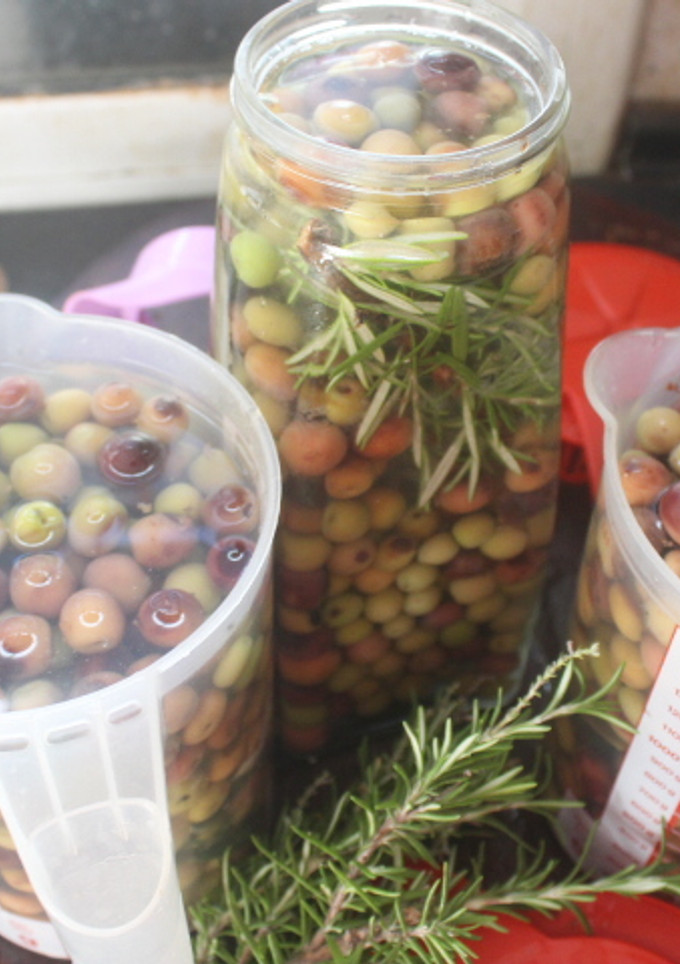 Una foto de Aceitunas en adobo con sosa caústica