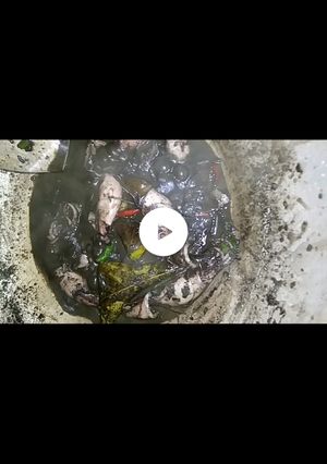 Foto resep Cumi hitam