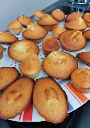 Une photo de Madeleine aux noisettes