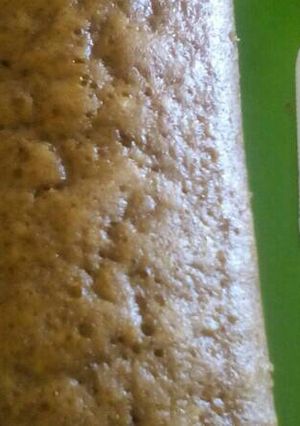 Foto resep Bolu Kukus Kurma Keju No Mixer