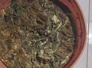 A picture of swiss chard recipes healthy