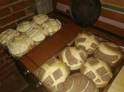 Una foto de conchas de mantequilla