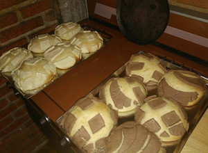 Una foto de Conchas