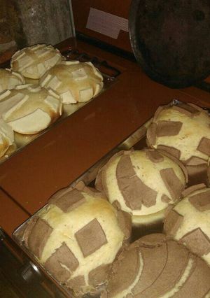 Una foto de Conchas