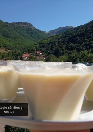 O poză a rețetei Înghețată cu pepene galben dietetică.