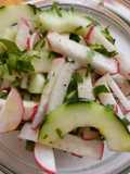 Ensalada de pepino y rábano