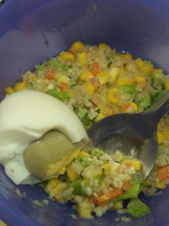Foto resep Bubur oatmeal ayam sayur