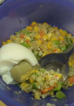 Foto resep Bubur oatmeal ayam sayur