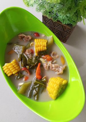 Foto resep Sayur Lodeh Sat Set Bumbu Instan