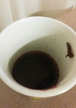 Foto de Quentão
